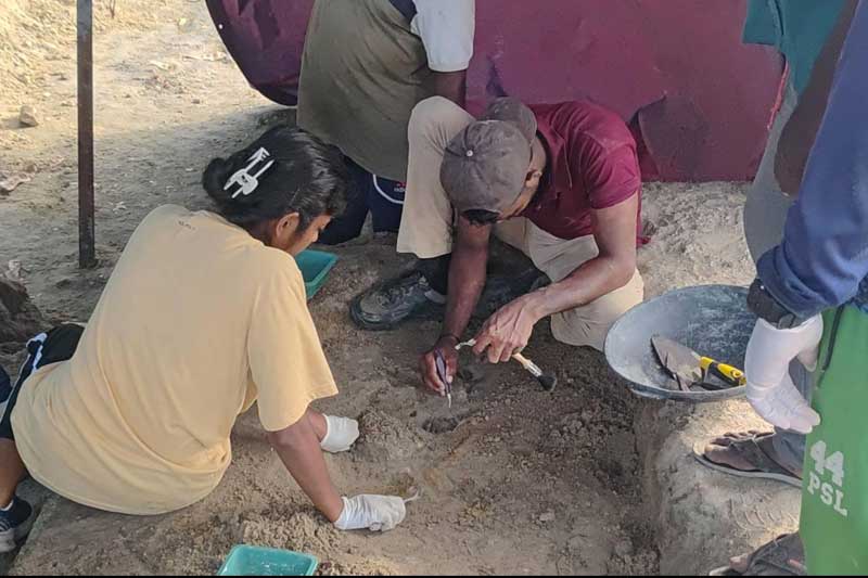 චෙම්මනි සමූහ මිනීවලෙන් තවත් ළදරු ඇටසැකිලි ගොඩ ගනී