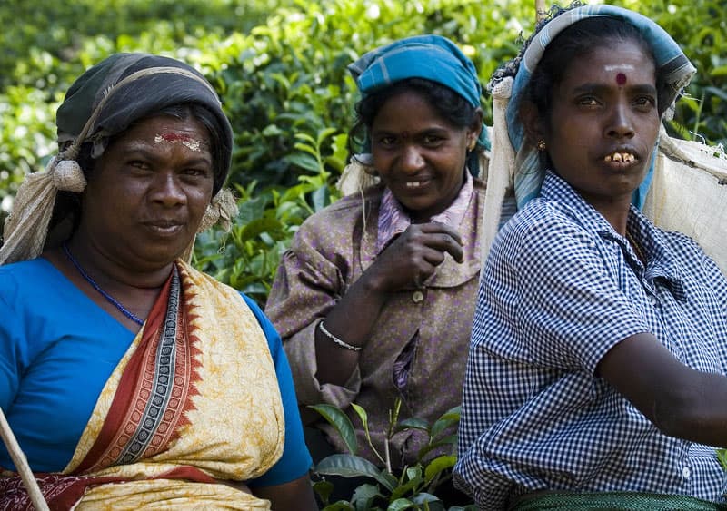 දැන්වත් සමාව ගනිමු. මේ ඒ වැරැද්ද (අපරාධය) නිවැරදි කිරීම ඇරඹීමට කාලයයි -(රංජිත් හේනායකආරච්චි)