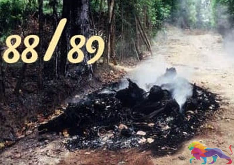 කොරෝනාවලින් පසුව එන 88/89 ය - රටේ රාළ