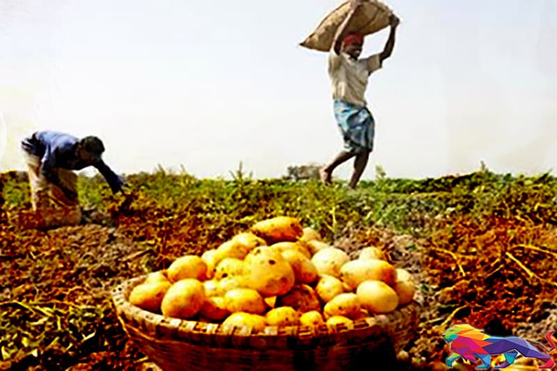 රස්සාවට අශුචි කෑම : කෘෂි බිස්නස් වැලැක්වූ නිලධාරීන්ගේ කතාව -කීර්ති තෙන්නකෝන්