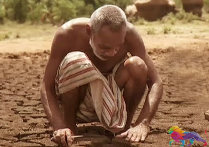 යුද්ධයේ කටුකත්වය වටහාගත්තා නම්... ‘‘ස්තුතියි නැවත එන්න’’ - ජයසිරි අලවත්ත