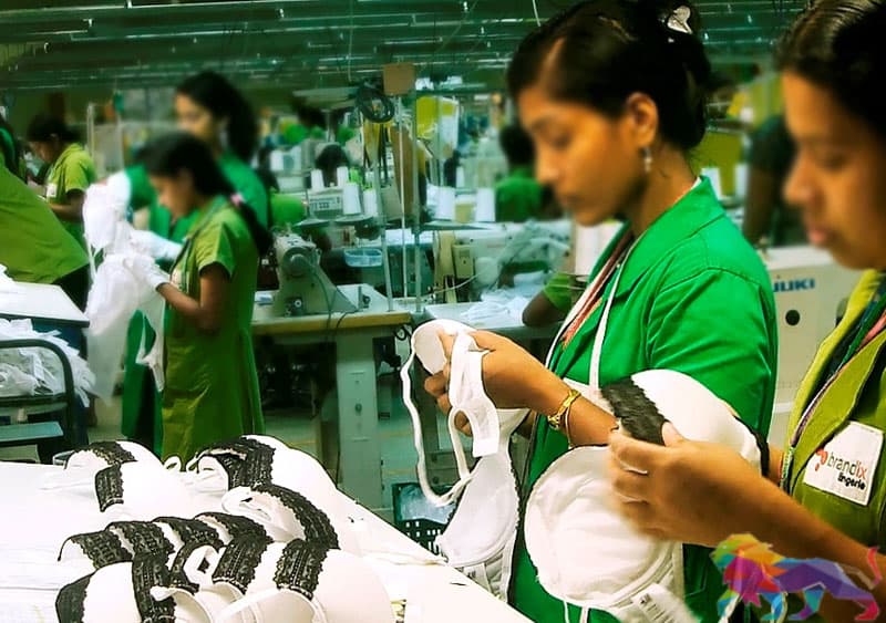 බ්රැන්ඩික්ස් කොරෝනා පොකුරෙන් හෙළිවන "නූතන වහල් සේවය"