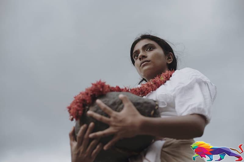 ගාඩි ජාත්යන්තර සම්මානයක් දිනයි