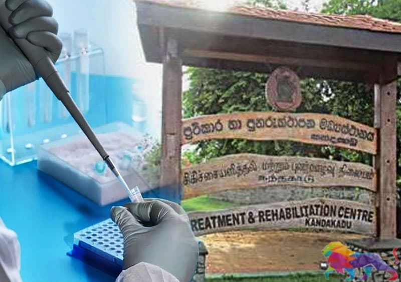 කන්දකාඩු උපදේශකවරයෙකුට හා දරු දෙදෙනාට කොරෝනා: සිසුන් 70ක් නිරෝධායනයට