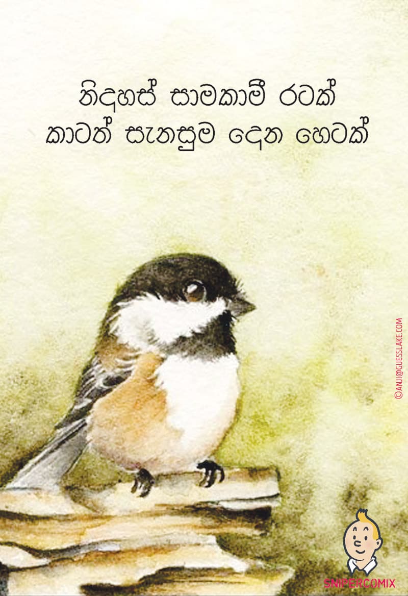 සැනසුම දෙන හෙටක්...