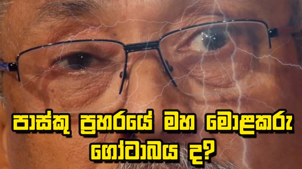 පාස්කු ප්රහාරයේ මහ මොළකරු ගෝටා ද?