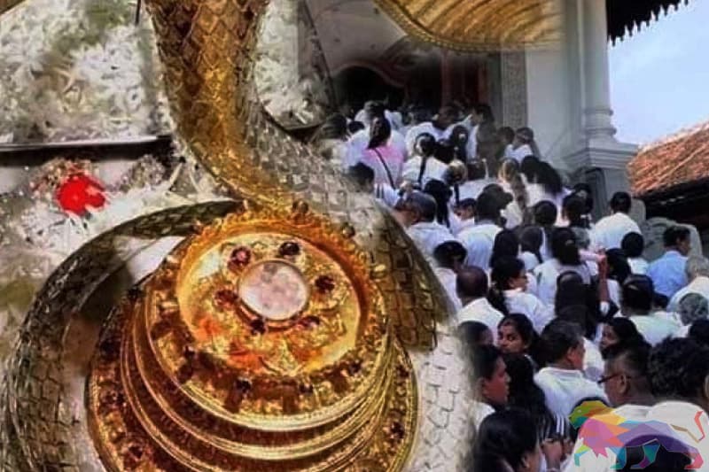 කැළණි පන්සලේ දේශපාලනය: මහ තුඹස, ලිබර්ල්ලු හා නිවටයෝ - නන්දන වීරරත්න