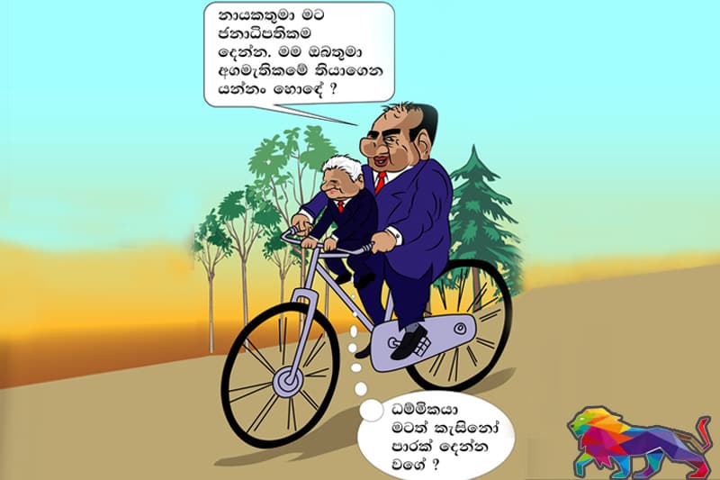 'මම ජනාධිපතිවරණයට එනවා'' - ධම්මික පක්ෂ නායකයින්ට දැනුම් දේ !