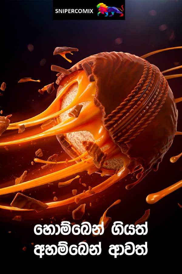 හොම්බෙන් ගියත් - අහම්බෙන් ආවත්...