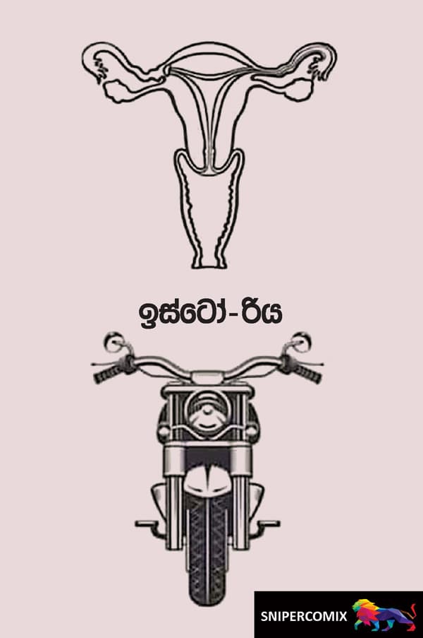 ඉස්ටෝ-රිය