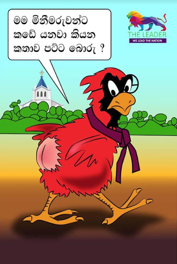 මිනීමරුවන්ට කඩේ යන්න මම...!