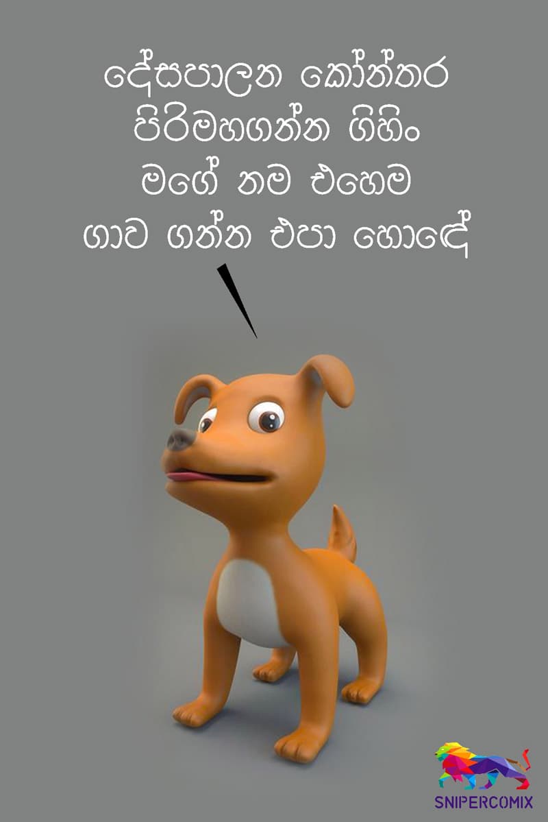 දේශපාලනයේ තහනම් වචනය