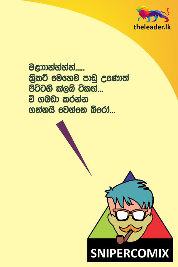 ක්රිකට් මෙහෙම පාඩු වුණොත්.......