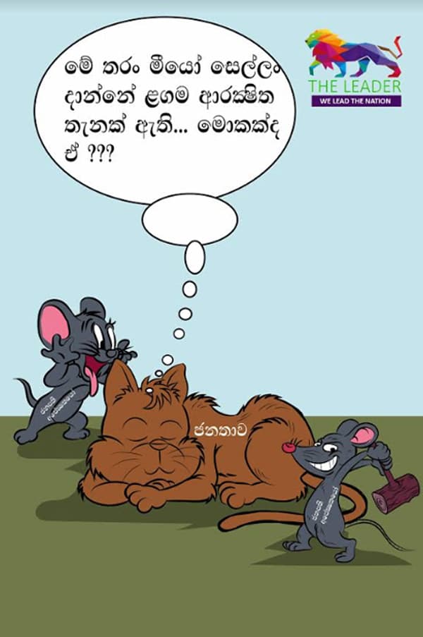 මීයෝ මොකද මෙතරම් සෙල්ලං දාන්නෙ?
