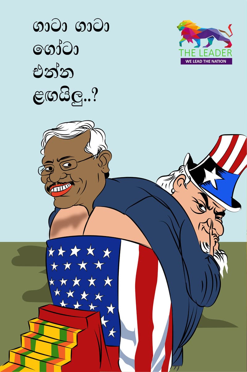 ගාට ගාට ගෝඨා එන්න ලගයිලු!