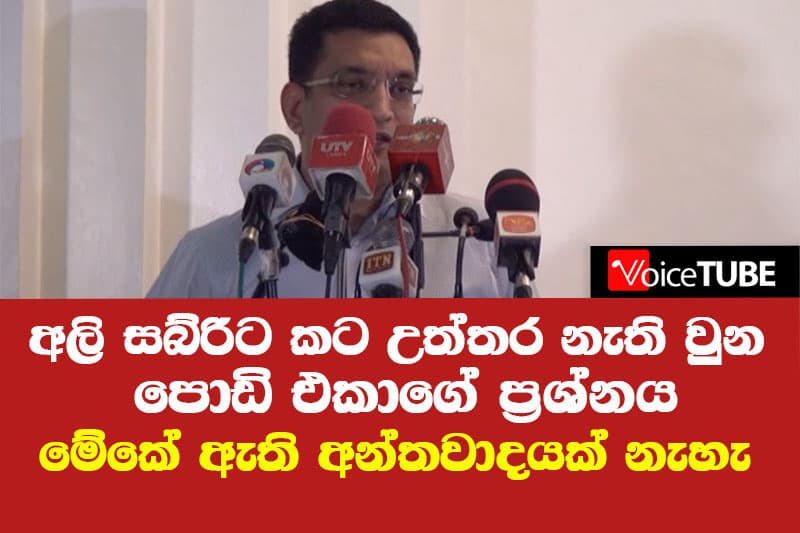අලි සබ්රිට කට උත්තර නැති වුන පොඩි එකාගේ ප්රශ්නය - 'මේකේ ඇති අන්තවාදයක් නැහැ
