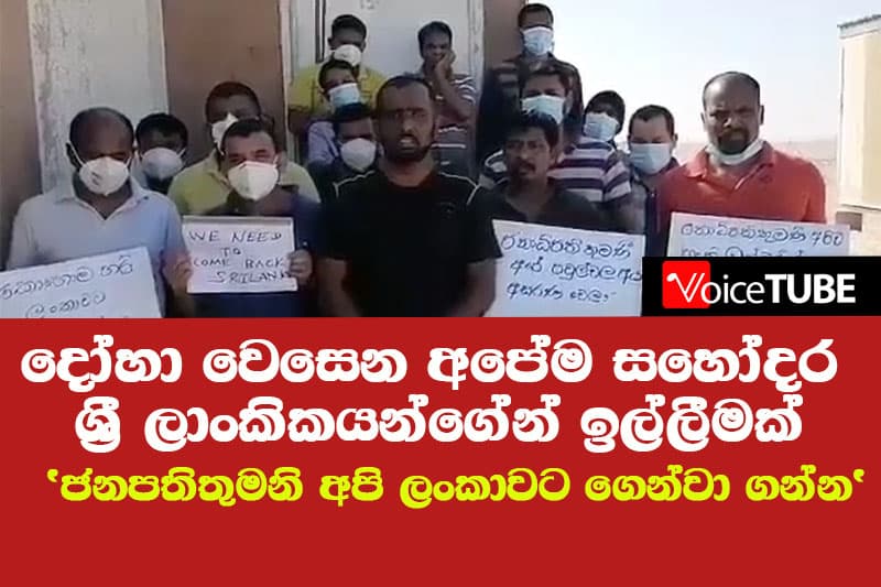 දෝහා වෙසෙන අපේම සහෝදර ශ්රී ලාංකිකයන්ගේන් ඉල්ලීමක් - 'ජනපතිතුමනි අපි ලංකාවට ගෙන්වා ගන්න'