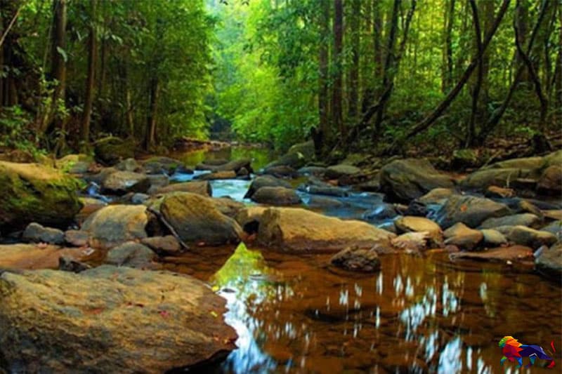 සිංහරාජය : ගෝලීයව සිතමින් දේශීයව වැඩ කරමු - Mahesh Hapugoda