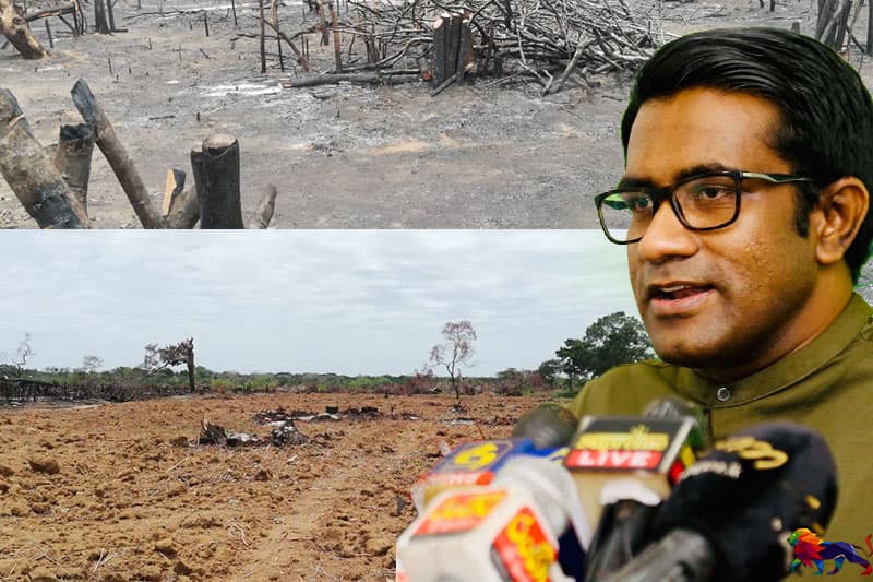 කියත්මග : දවසට අක්කර 7 බැගින් වනාන්තර විනාශ කරලා" - රසික ජයකොඩි