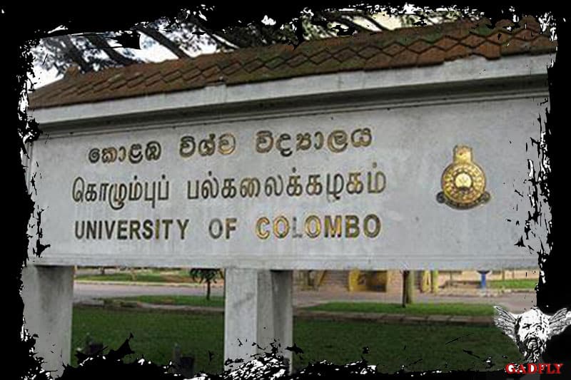 හුචක්කුව -ඇටමැස්සා (25)