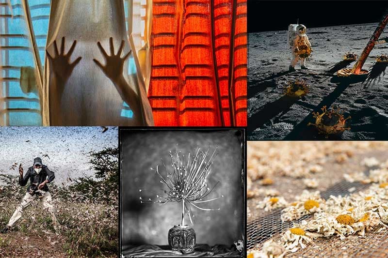 2021 'සෝනි' ලෝක ඡායාරූප තරගාවලියේ ජයග්රාහී ඡායාරූප මෙන්න