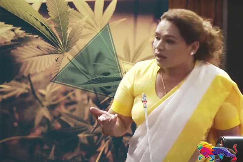 ඩයනා කියන කතාව : කංසා එක්ක සෙක්ස් (Cannasexual)