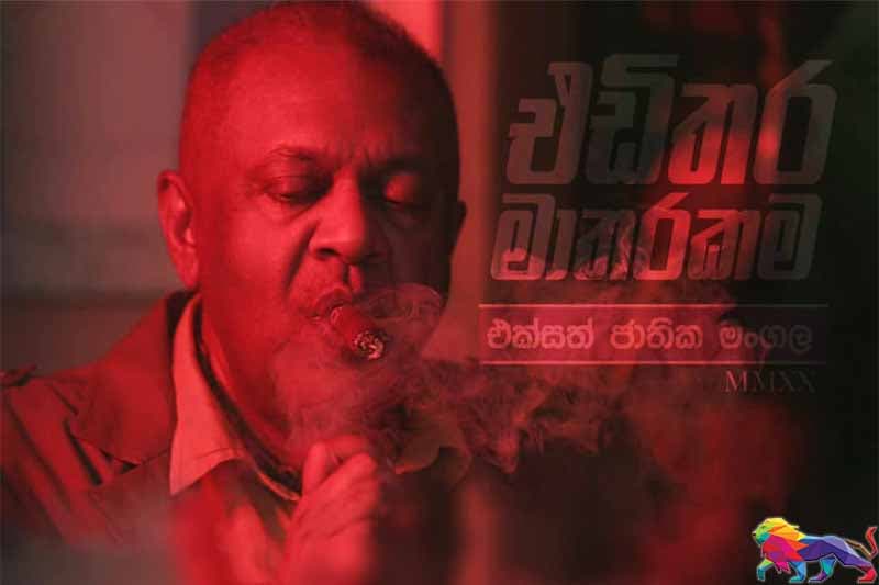 කොළඹ අත්හැර ගිය දේශපාලන සමනළයා - මිලින්ද රාජපක්ෂ