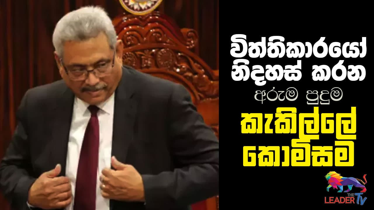 විත්තිකාරයෝ නිදහස් කරන අරුම පුදුම කැකිල්ලේ කොමිසම