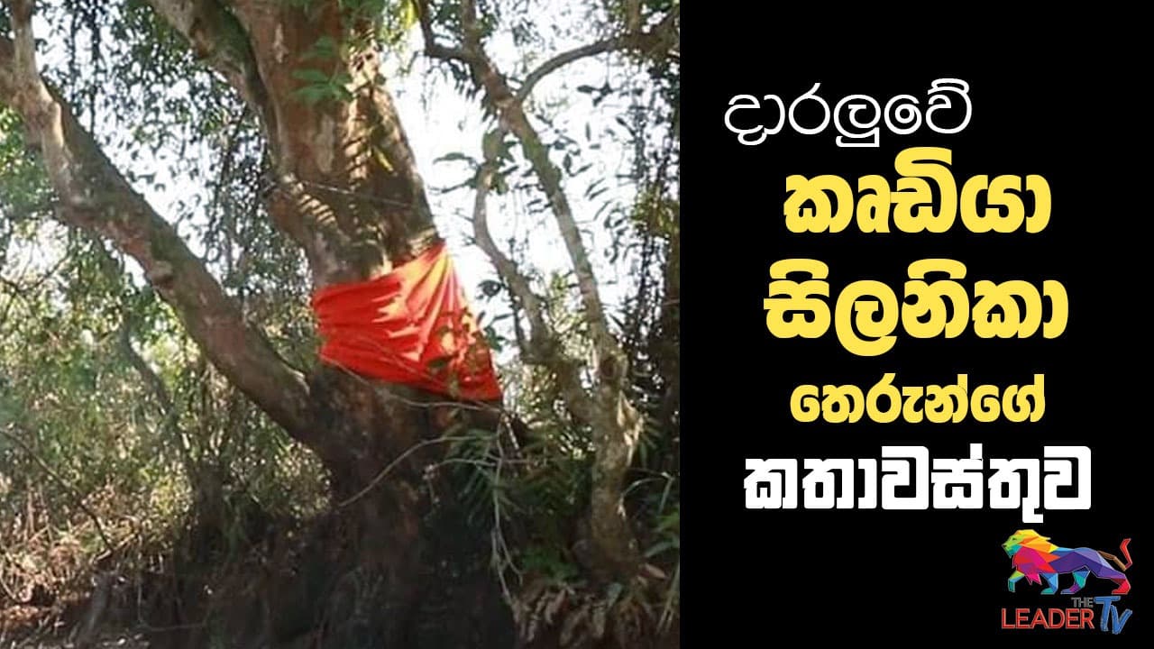 දාරලුවේ කෘඩියා සිලනිකා තෙරුන්ගේ කතාවස්තුව