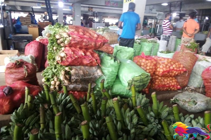 දඹුල්ලේ එළවළු-පළතුරු කිලෝ ලක්ෂ 26 ක් විකුණගන්න බැරුව ගොවින් අනාතයි !