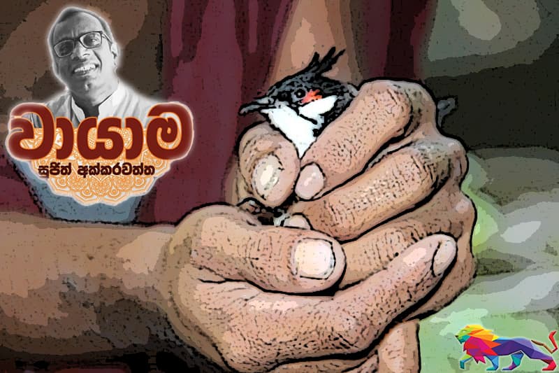 කොණ්ඩ කුරුළු ආලය : (වායාම 32 - සුජිත් අක්කරවත්ත)