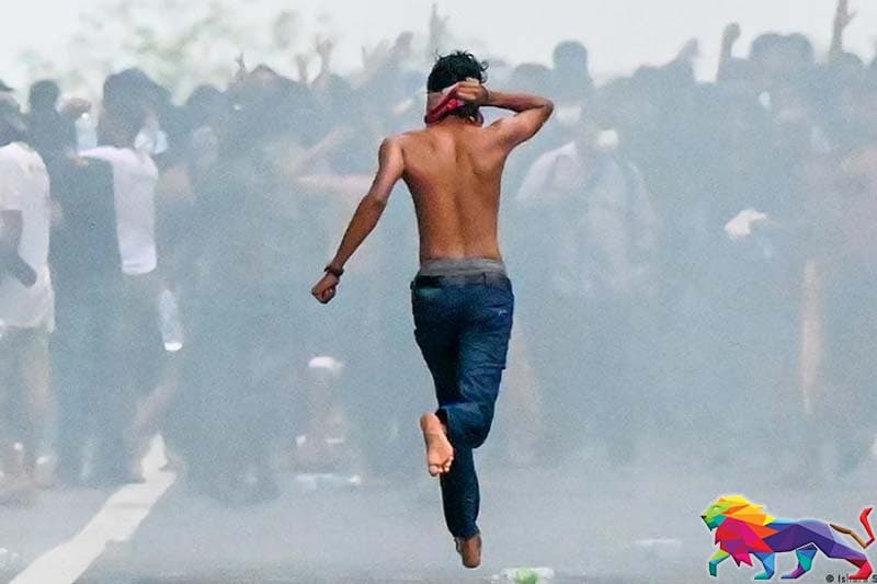 මොළයේ වර්ධනය සහ තරුණ අරගලකරුවන් -(එරන්ද ගිනිගේ)