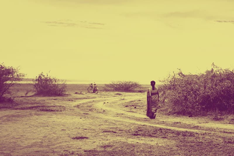 ආනන්දිගෙන් ප්රඥාවට - (මංජුල වෙඩිවර්ධන)