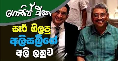 සර් ගිලපු අලිසබි්රගේ අලි ලනුව !