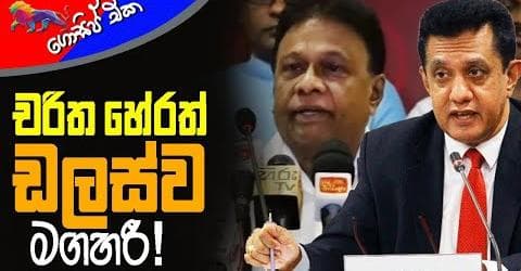 චරිත හේරත් ඩලස්ව මගහරී