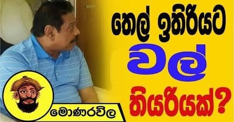 තෙල් ඉතිරියට වල් තියරියක් ! |මොණරවිලගේ ලියමන