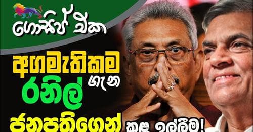 අගමැතිකම ගැන රනිල් - ජනපතිගෙන් කළ ඉල්ලීම!