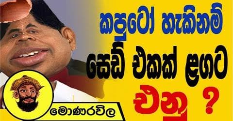 කපුටෝ හැකිනම් සෙඩ් එක ළගට එනු !
