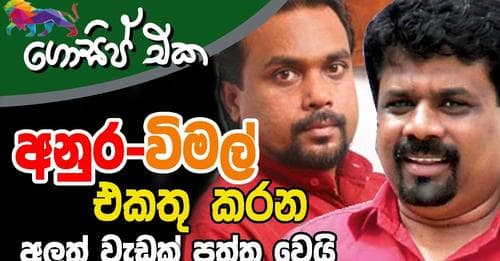 අනුර-විමල් එකතු කරන අලුත් වැඩක් පත්තු වෙයි!