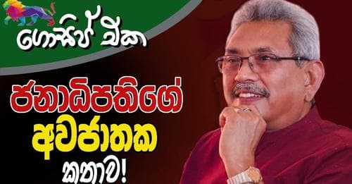 ජනාධිපතිගේ අවජාතක කතාව!