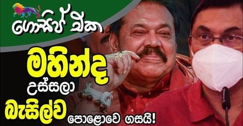 මහින්ද උස්සලා බැසිල්ව පොළොවෙ ගසයි!