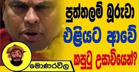 පුත්තලම් බූරුවා එළියට ආවේ කපුටුු උසාවියෙන් !