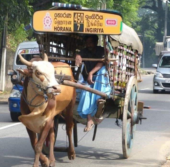 හොරණ - ඉංගිරිය...