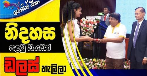 නිදහස පළමු වැඩෙන් ඩලස් හැලිලා!