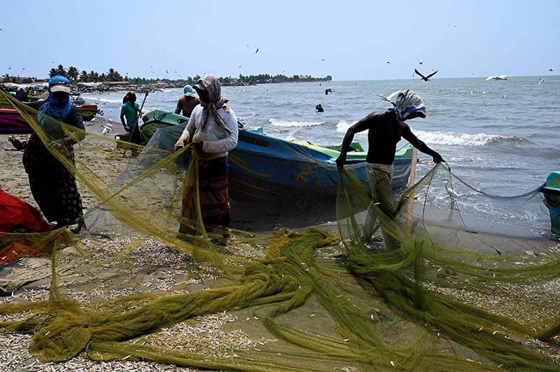 මන්නාරමේ තෙල් හිඟය නිසා මාළු නැතිව ධීවරයන් අමාරුවේ