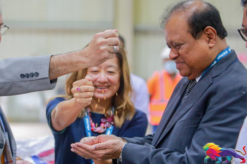 ජුලි නෝනගේ හාල් මිට - (උදන් ප්රනාන්දු)