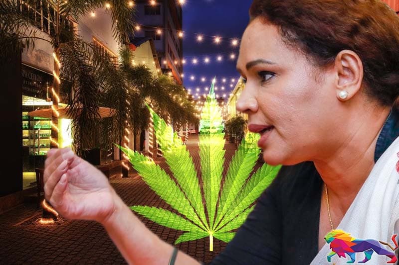 'සංවර්ධනය' සඳහාවන 'ඩයනියානු' දු කෙළියේ වග - (කුසල් පෙරේරා)