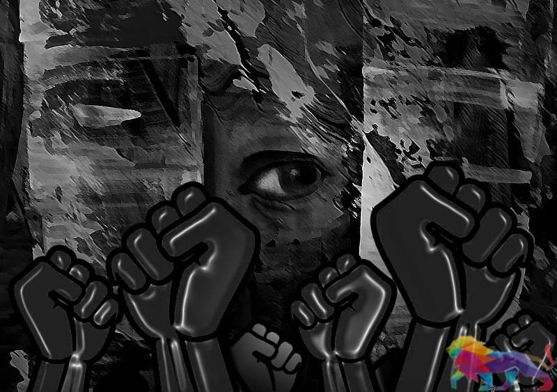වාර්ගික හෙට්ටු කිරීම සහ බලය බෙදා ගැනීම -නීතිඥ දිනේෂ් දොඩම්ගොඩ