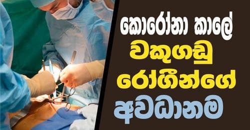 වකුගඩු රෝගීන්ට වසංගත සමයේ අවදානමෙන් මිදෙන උපදෙස්