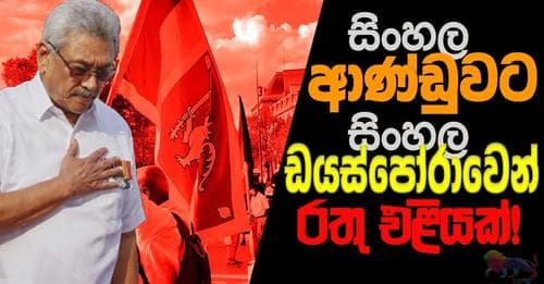 සිංහල ඩයස්පෝරාවත් රෙඩ්ලයිට් පත්තුකරයි!